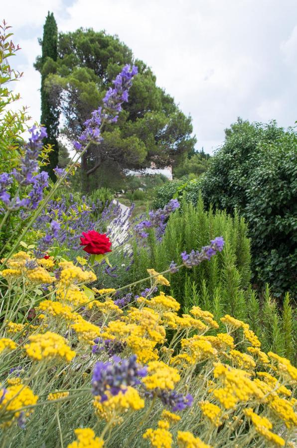 Milica Garden Apartman Prvic Sepurine Kültér fotó