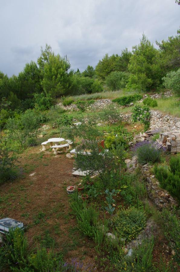 Milica Garden Apartman Prvic Sepurine Kültér fotó